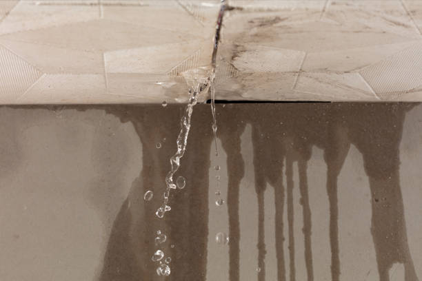 Professional Burst Pipe Cleanup technician working in Saint Henry, OH
